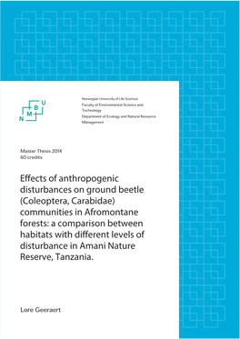 Effects of Anthropogenic Disturbances on Ground Beetle