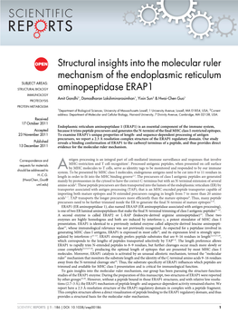 Structural Insights Into the Molecular Ruler Mechanism of the Endoplasmic Reticulum Aminopeptidase ERAP1