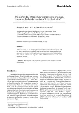 The Aphelids, Intracellular Parasitoids of Algae, Consume the Host Cytoplasm “From the Inside”
