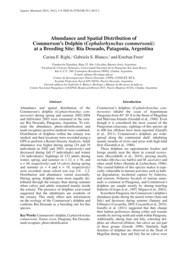 Abundance and Spatial Distribution of Commerson's Dolphin (Cephalorhynchus Commersonii) at a Breeding Site: Ría Deseado