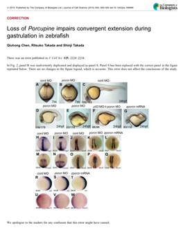 Porcupine Impairs Convergent Extension During Gastrulation in Zebrafish