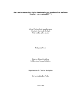 Shark and Predatory Fish Relative Abundance in Three Locations of the Seaflower Biosphere Reserve Using BRUVS