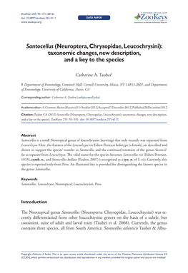 Neuroptera, Chrysopidae, Leucochrysini): Taxonomic Changes, New Description, and a Key to the Species