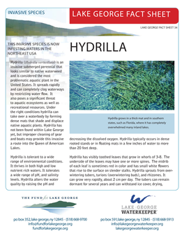 Hydrilla Fact Sheet