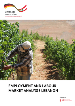 Employment and Labour Market Analysis Lebanon