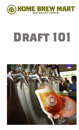 Draft-101-Booklet.Pdf