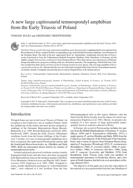 A New Large Capitosaurid Temnospondyl Amphibian from the Early Triassic of Poland