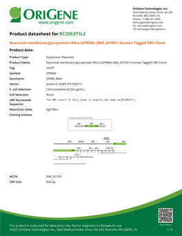 Neuronal Membrane Glycoprotein M6 a (GPM6A) (NM 201591) Human Tagged ORF Clone Product Data