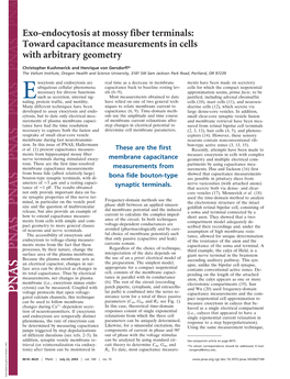 Exo-Endocytosis at Mossy Fiber Terminals: Toward Capacitance Measurements in Cells with Arbitrary Geometry