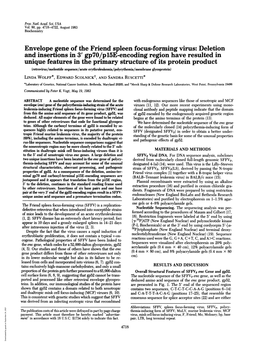 Envelope Gene of the Friend Spleen Focus-Forming Virus