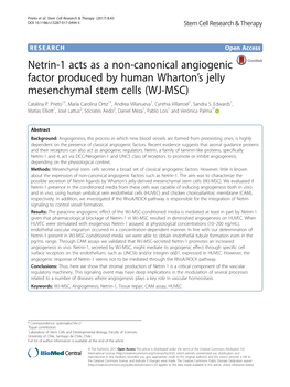 Netrin-1 Acts As a Non-Canonical Angiogenic Factor Produced by Human Wharton’S Jelly Mesenchymal Stem Cells (WJ-MSC) Catalina P