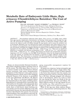 Metabolic Rate of Embryonic Little Skate, Raja Erinacea (Chondrichthyes: Batoidea): the Cost of Active Pumping 1 2 3,4 JILL B.K