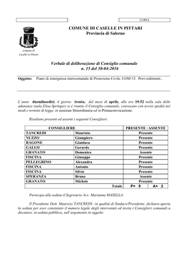 Page 1 COPIA COMUNE DI CASELLE in PITTARI Provincia Di Salerno