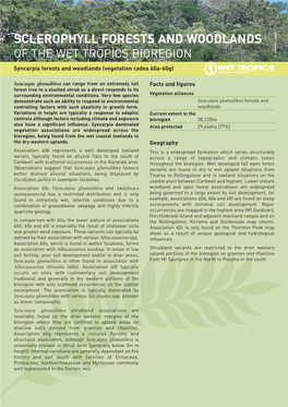 Sclerophyll Forests and Woodlands