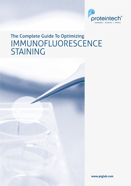 Immunofluorescence Staining