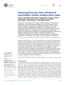 Human Perivascular Stem Cell-Derived Extracellular Vesicles Mediate Bone