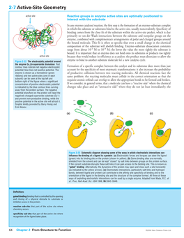 2-7 Active-Site Geometry