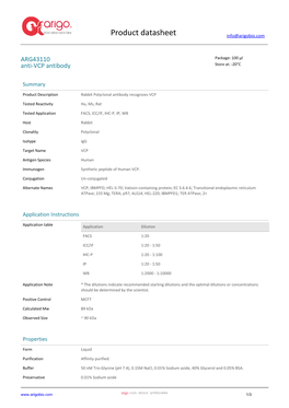 Anti-VCP Antibody (ARG43110)