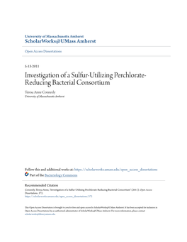 Investigation of a Sulfur-Utilizing Perchlorate-Reducing Bacterial Consortium