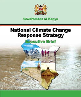 National Climate Change Response Strategy Executive Brief