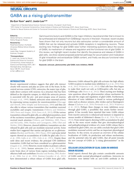 GABA As a Rising Gliotransmitter