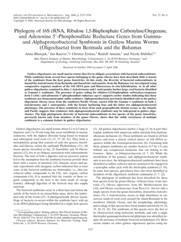 Phylogeny of 16S Rrna, Ribulose 1,5-Bisphosphate Carboxylase