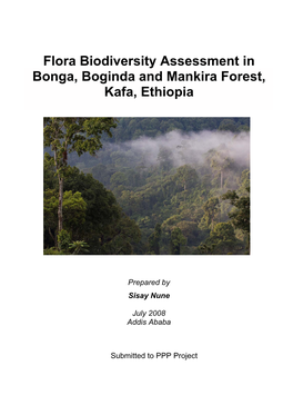 Flora Biodiversity Assessment in Bonga, Boginda and Mankira Forest, Kafa, Ethiopia
