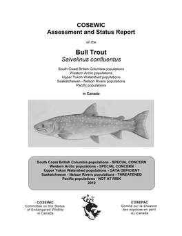 COSEWIC Assessment and Status Report on the Bull Trout Salvelinus Confluentus in Canada