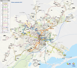 Plan Lignes-Tam-Sept 2019.Pdf