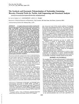 The Synthesis and Enzymatic Polymerization of Nucleotides Containing Mercury