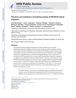 Structure and Membrane Remodeling Activity of ESCRT-III Helical Polymers