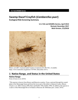 Swamp Dwarf Crayfish (Cambarellus Puer) Ecological Risk Screening Summary