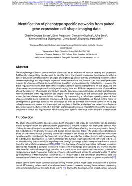 Identi Cation of Phenotype-Speci C Networks from Paired Gene Expression-Cell Shape Imaging Data