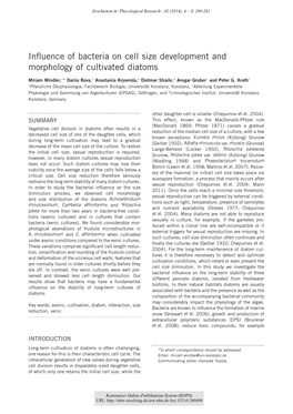 Influence of Bacteria on Cell Size Development and Morphology Of