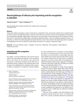 Neural Pathways of Olfactory Kin Imprinting and Kin Recognition in Zebrafish