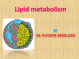 Lipid Metabolism