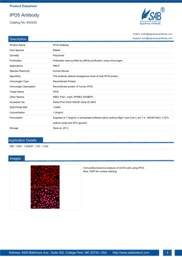 IPO5 Antibody