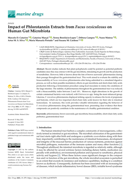 Impact of Phlorotannin Extracts from Fucus Vesiculosus on Human Gut Microbiota