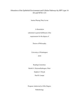 Alteration of the Epithelial Environment and Cellular Pathways by HPV Type 16 E6 and NFX1-123