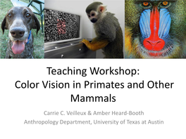 Color Vision in Primates and Other Mammals Carrie C