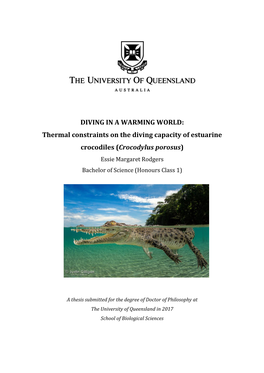 DIVING in a WARMING WORLD: Thermal Constraints on the Diving