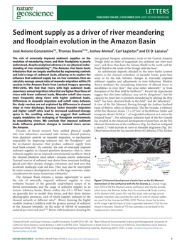 Sediment Supply As a Driver of River Meandering and Floodplain