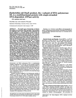 Escherichia Coli Dnax Product, the 7 Subunit of DNA Polymerase