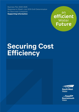 Securing Cost Efficiency’ Supporting Information Document