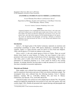 Anatomical Studies in Salvia Viridis L