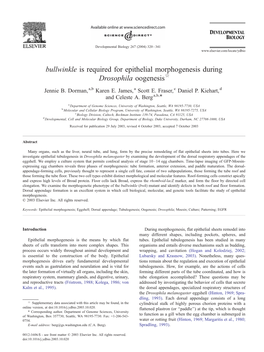 Bullwinkle Is Required for Epithelial Morphogenesis During Drosophila Oogenesis$