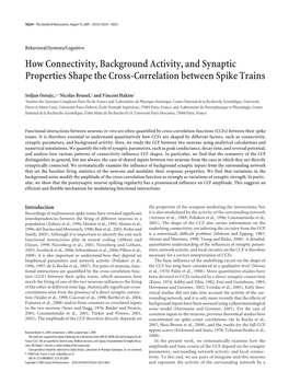 How Connectivity, Background Activity, and Synaptic Properties Shape the Cross-Correlation Between Spike Trains