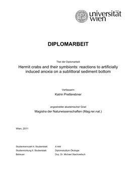 Diplomarbeit