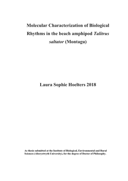 Molecular Characterization of Biological Rhythms in the Beach Amphipod Talitrus Saltator (Montagu)