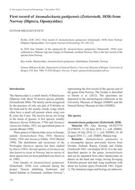 First Record of Anomalochaeta Guttipennis (Zetterstedt, 1838) from Norway (Diptera, Opomyzidae)